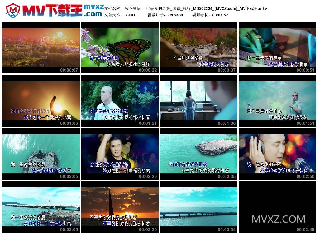 彤心彤德-一生最爱的老婆_国语_流行_MD202324